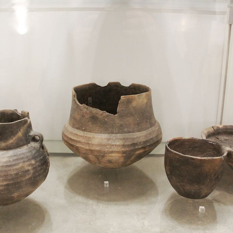 Verschieden geformte Gefäße aus Ton sind in einer Vitrine zum Thema Archäologie präsentiert.