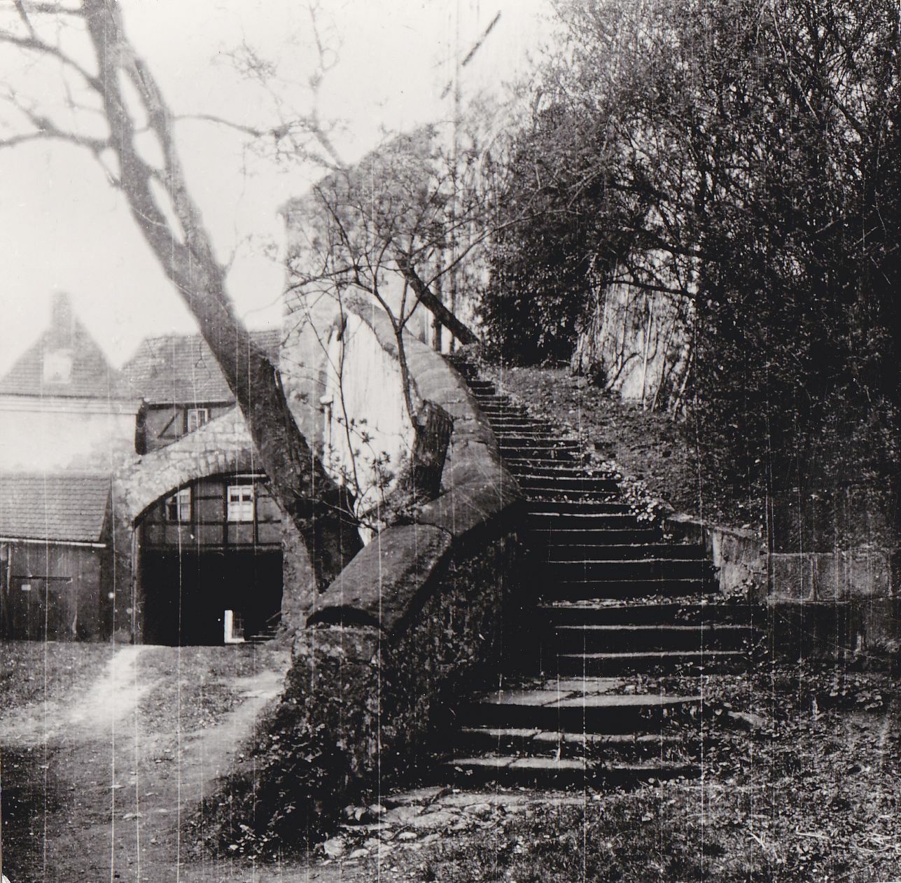Die Reitertreppe ist 1925 sehr  stark mit Bäumen und Sträuchern bewachsen. Das Schwarzweiß-Foto zeigt den Blick vom Hüttertaltor Richtung Stadttor.