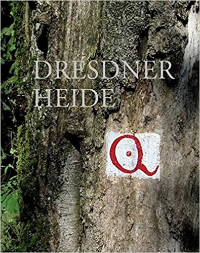 Titelblatt des Buches Dresdner Heide mit altem farbigen Wegezeichen, welches wie ein Q aussieht, an einem alten Baum.