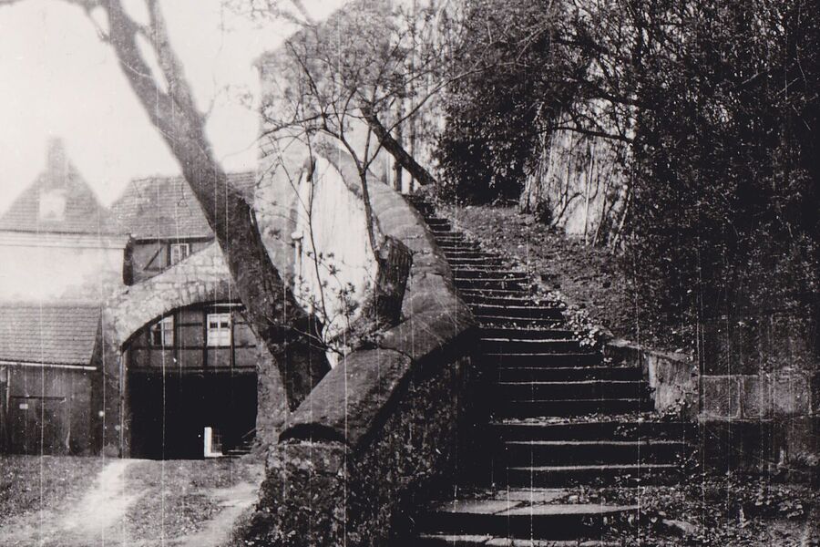 Schwarz-Weiß-Foto von 1925 mit Blick auf die mit Bäumen und Sträuchern bewachsene Reitertreppe